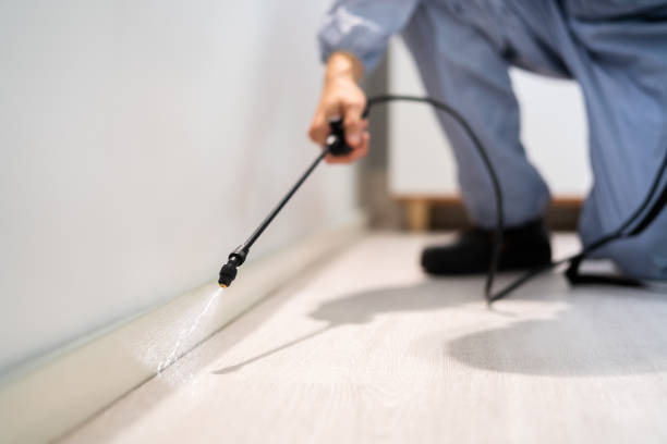 Licensed Cockroach Control service in Hopewell, VA - Nex Pest Control